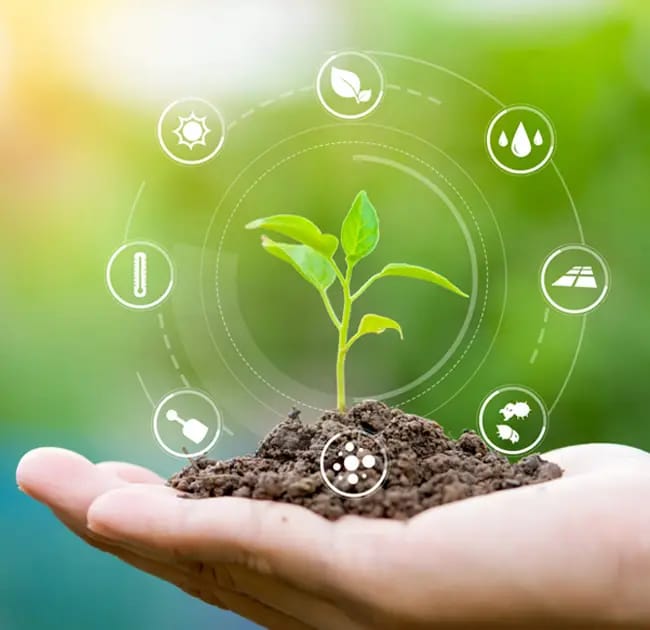 Rainbow Crop Science